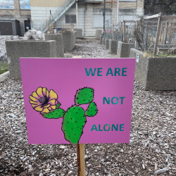 Painted sign installed at community garden with flowering cactus, pink background, and text reading we are not alone.